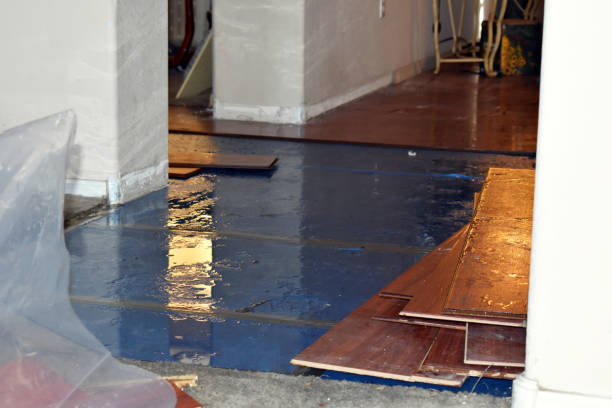 Professional Water Damage Restoration technician working in Feesburg, OH